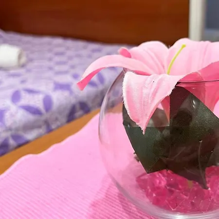 Komazec - Banja Vrujci Appartement Gornja Toplica