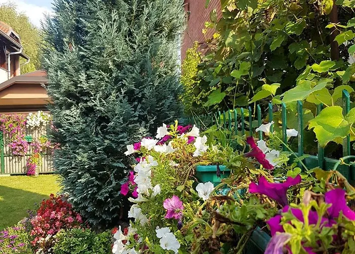 Komazec - Banja Vrujci * Gornja Toplica