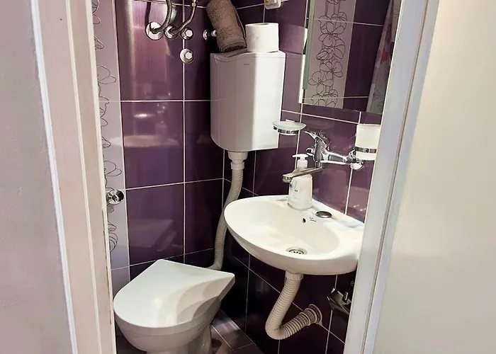 Komazec - Banja Vrujci Appartement *